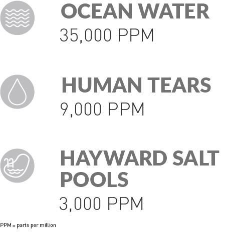 Hayward Salt Pools